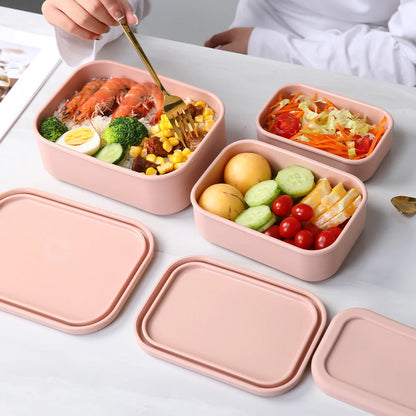Silicone Bento Lunch Boxes